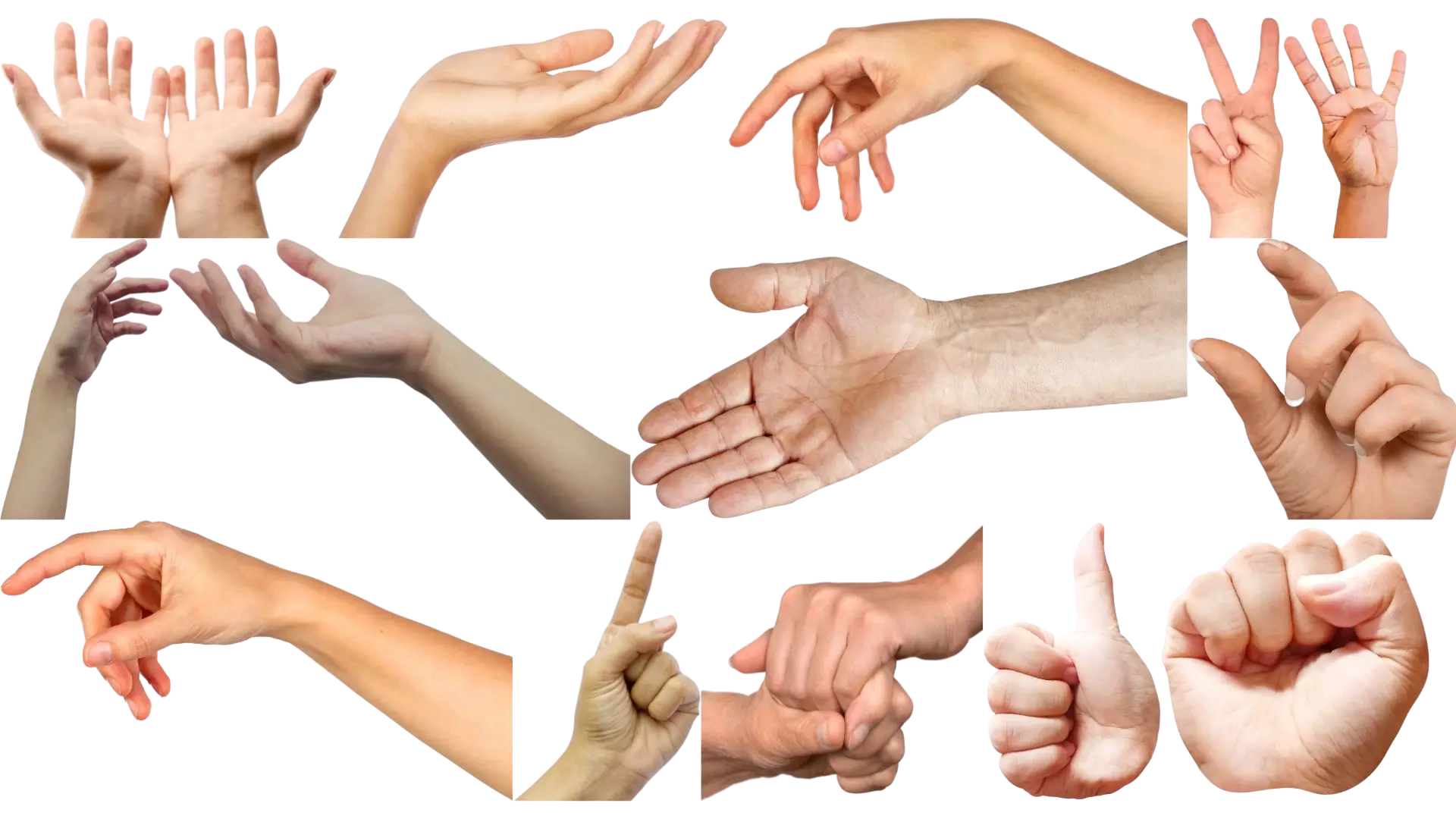 Hand collage