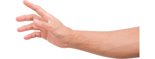 Hand Drawing Reference - hand with a reaching pose