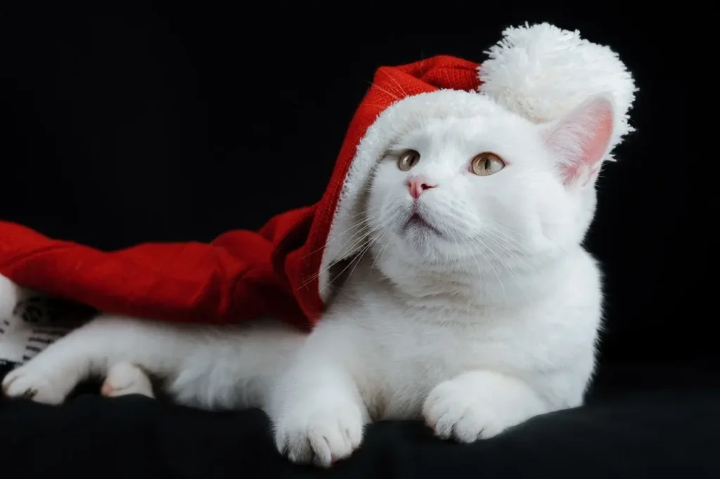 Winter Drawing Ideas: Creative and Cozy Art Projects for the Cold Season 2024/2025 4 Winter Drawing Ideas: cat with a christmas hat