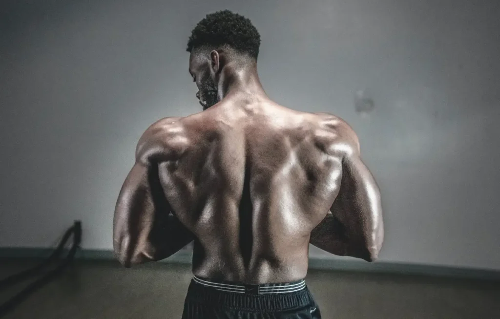 Muscle Drawing References: Empower Your Artistic Muscles 2024 6 Muscle Drawing Reference