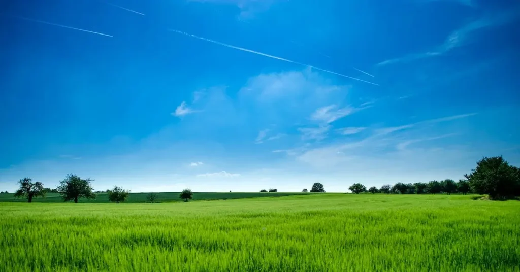 Landscape Drawing Ideas: Tips and Inspiration for Beginners 2024 2 Landscape Drawing Ideas