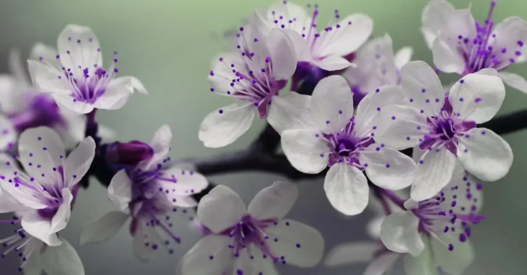 Flower Drawing Ideas: Creative Inspiration for Your Next Beautiful Art Projects 2024 2 flower drawing ideas