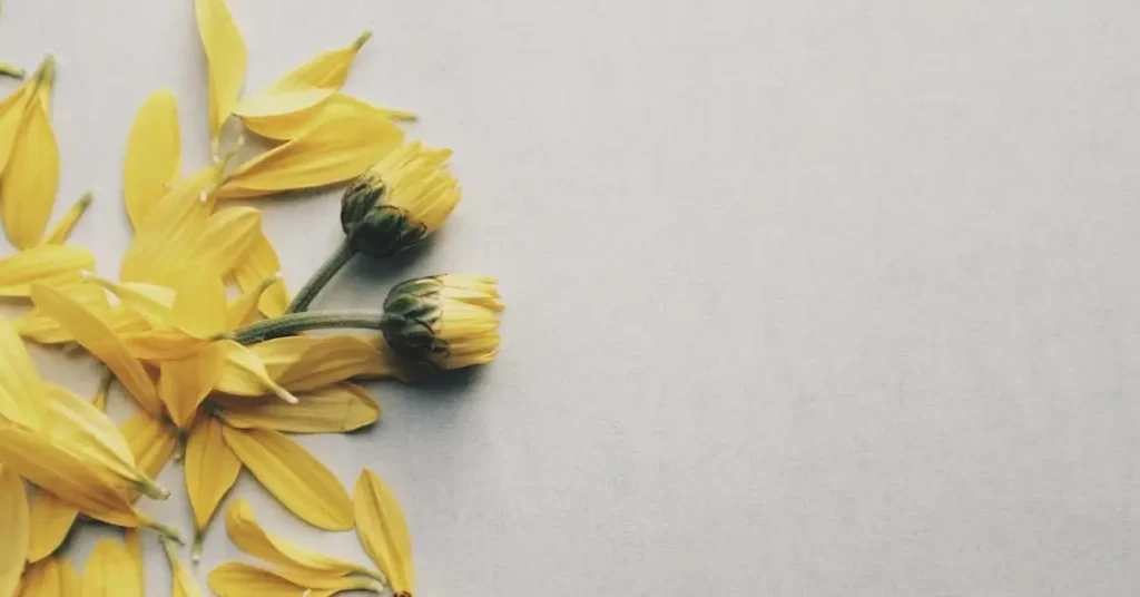 Flower Drawing Ideas: Creative Inspiration for Your Next Beautiful Art Projects 2024 8 yellow flowers as flower drawing ideas