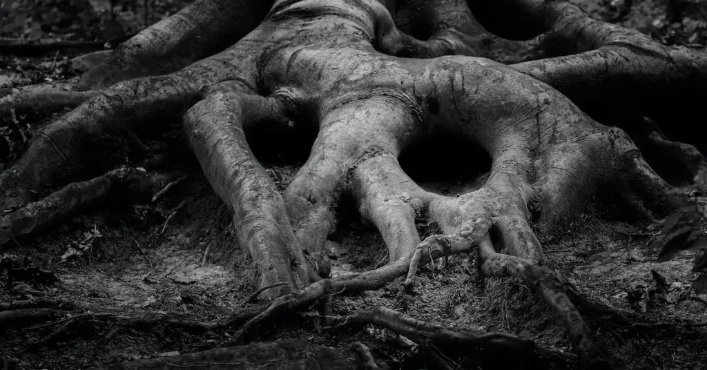 Landscape Drawing Ideas: Tips and Inspiration for Beginners 2024 13 roots of an old tree as Landscape Drawing Ideas