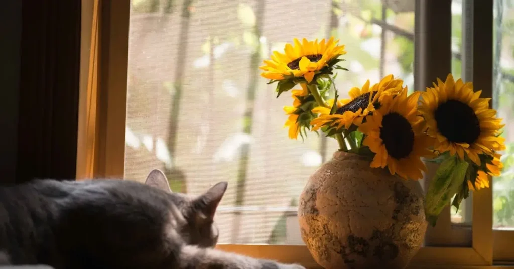 Cat Drawing Ideas: Unleash Your Creativity with These Purr-Fect Fur Sketches 2024 13 cat beside sunflowers as cat drawing ideas