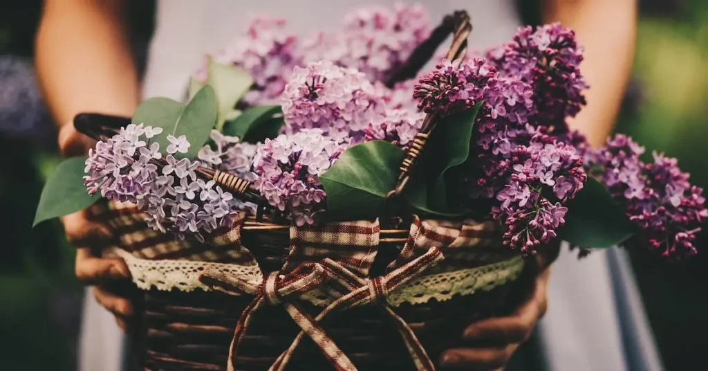 150+ Spring Drawing Ideas: Unleash Your Creativity with Seasonal Inspiration 10 May Day Basket as Spring Drawing Ideas