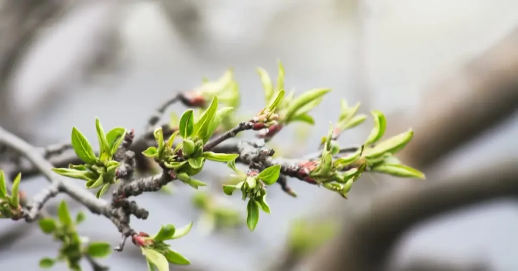 150+ Spring Drawing Ideas: Unleash Your Creativity with Seasonal Inspiration 6 new green leafs as Spring Drawing Ideas
