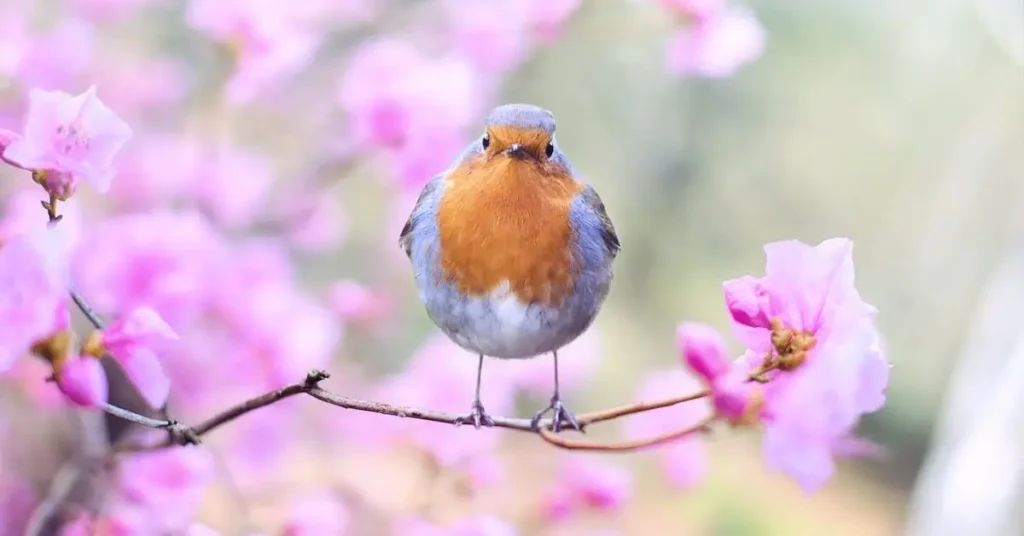 150+ Spring Drawing Ideas: Unleash Your Creativity with Seasonal Inspiration 3 a bird as Spring Drawing Ideas