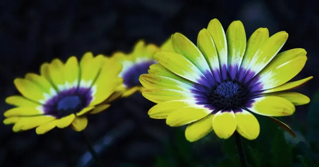 Discover the Ultimate List: 160 Nature Drawing Ideas! 5 flowers as nature drawing ideas