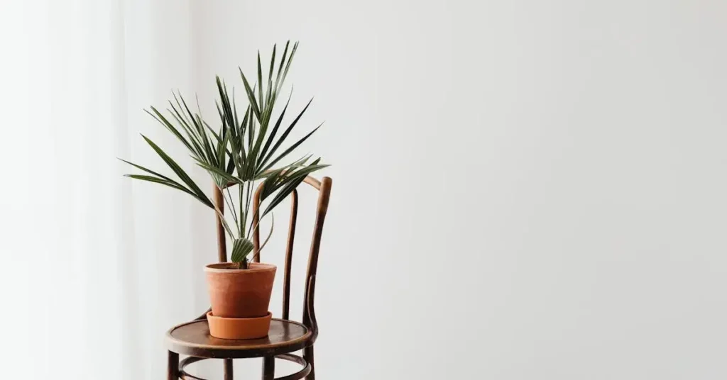 Discover the Ultimate List: 160 Nature Drawing Ideas! 11 pottet plant as nature drawing ideas
