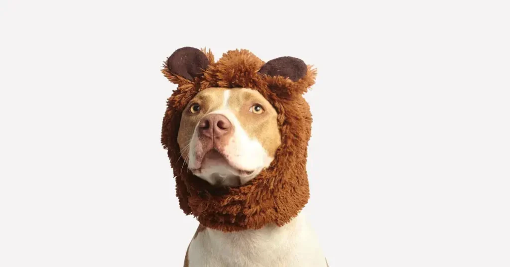Pawsome Dog Drawing Ideas: Bark-tastic Fun and Creative Sketches to Try 2024 5 dog drawing ideas lion hat