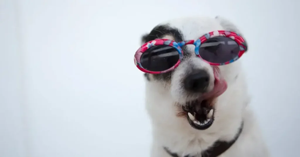 Pawsome Dog Drawing Ideas: Bark-tastic Fun and Creative Sketches to Try 2024 4 dog drawing ideas dog with glasses