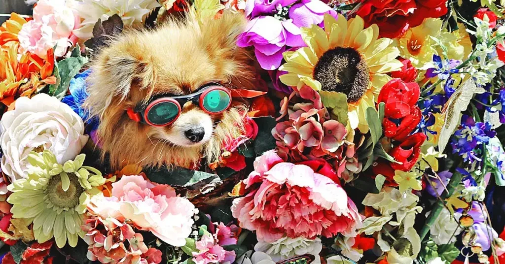 Pawsome Dog Drawing Ideas: Bark-tastic Fun and Creative Sketches to Try 2024 10 dog drawing ideas in flowers