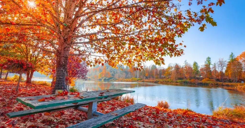 Get Cozy with These 75+ Easy Fall Drawing Ideas! 12 easy fall drawing ideas bench at a sea