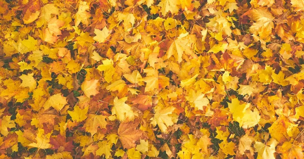 Get Cozy with These 75+ Easy Fall Drawing Ideas! 2 easy fall drawing ideas yellow leaves