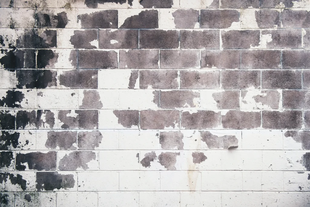 50 Stone Wall Drawing References Every Artist Needs to See! 16 stone wall drawing references black and white