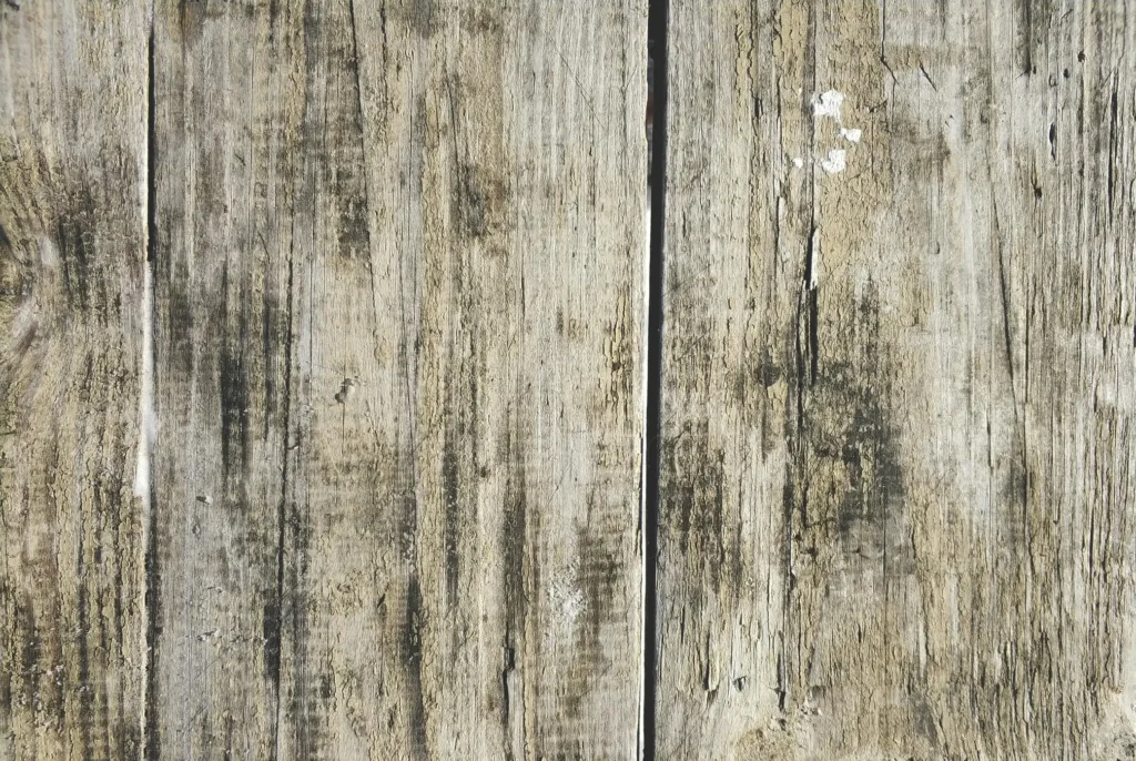 Master the Art of Wood Drawing References: Tips, Techniques, and Stunning References for Every Artist 29 Wood Drawing References
