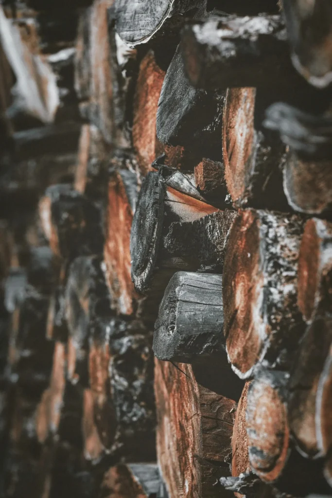 Master the Art of Wood Drawing References: Tips, Techniques, and Stunning References for Every Artist 30 Wood Drawing References
