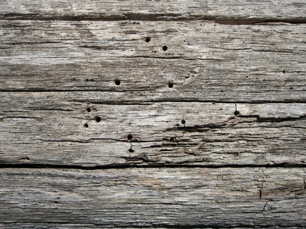 Master the Art of Wood Drawing References: Tips, Techniques, and Stunning References for Every Artist 50 Wood Drawing References