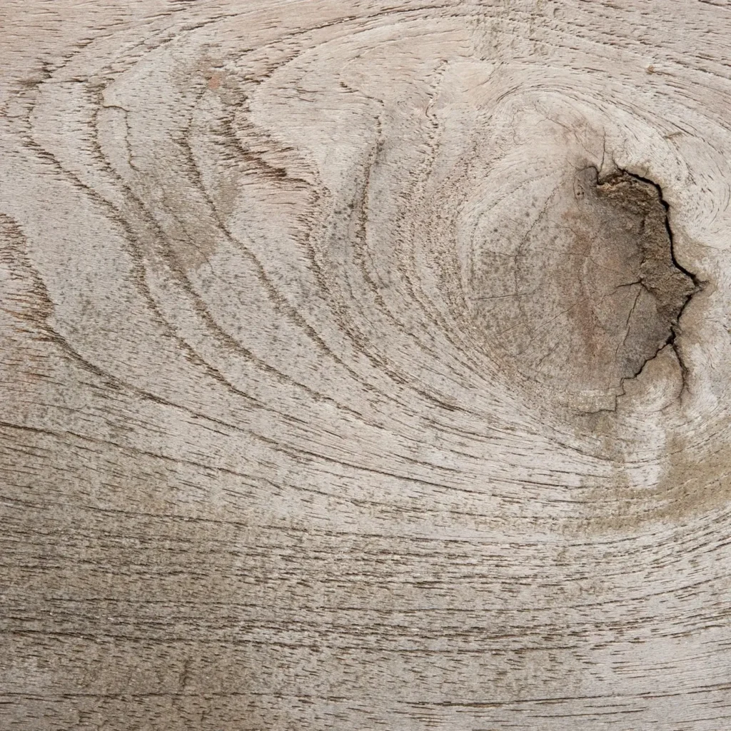 Master the Art of Wood Drawing References: Tips, Techniques, and Stunning References for Every Artist 25 Wood Drawing References