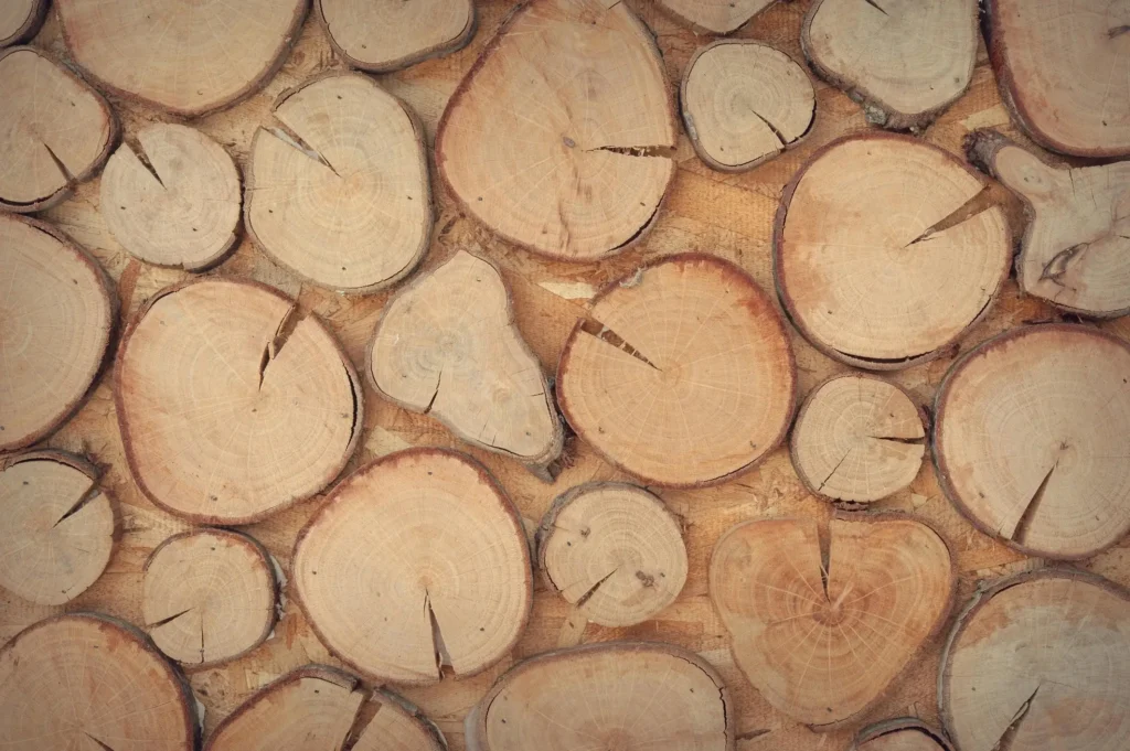 Master the Art of Wood Drawing References: Tips, Techniques, and Stunning References for Every Artist 21 Wood Drawing References