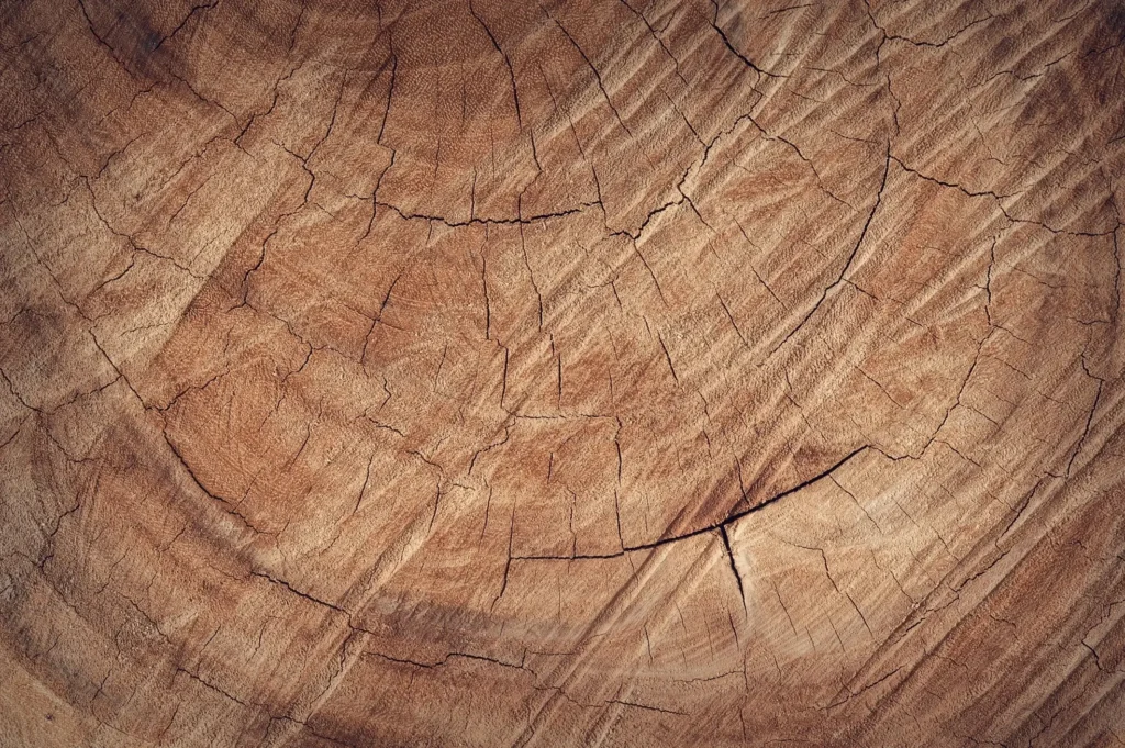 Master the Art of Wood Drawing References: Tips, Techniques, and Stunning References for Every Artist 8 Wood Drawing References