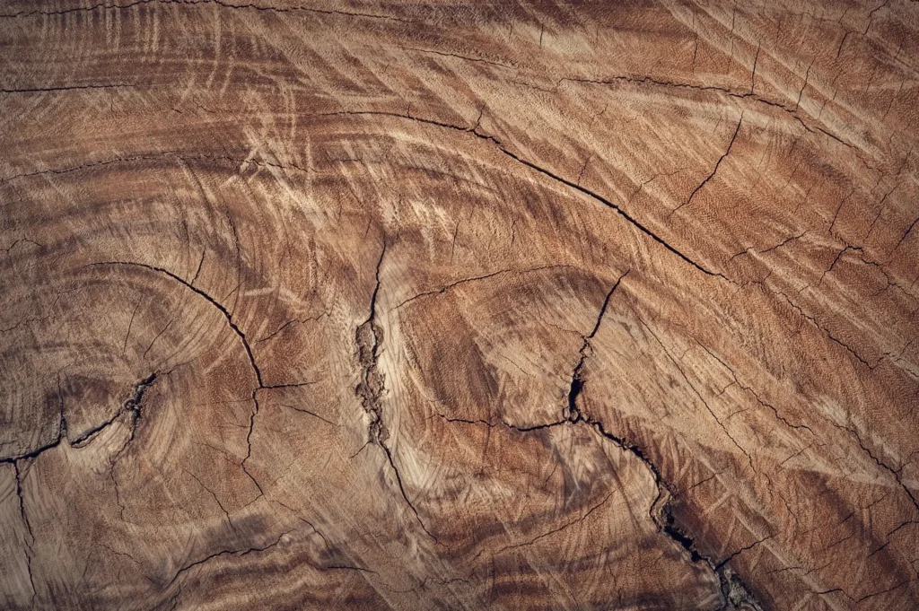 Master the Art of Wood Drawing References: Tips, Techniques, and Stunning References for Every Artist 2 Wood Drawing References