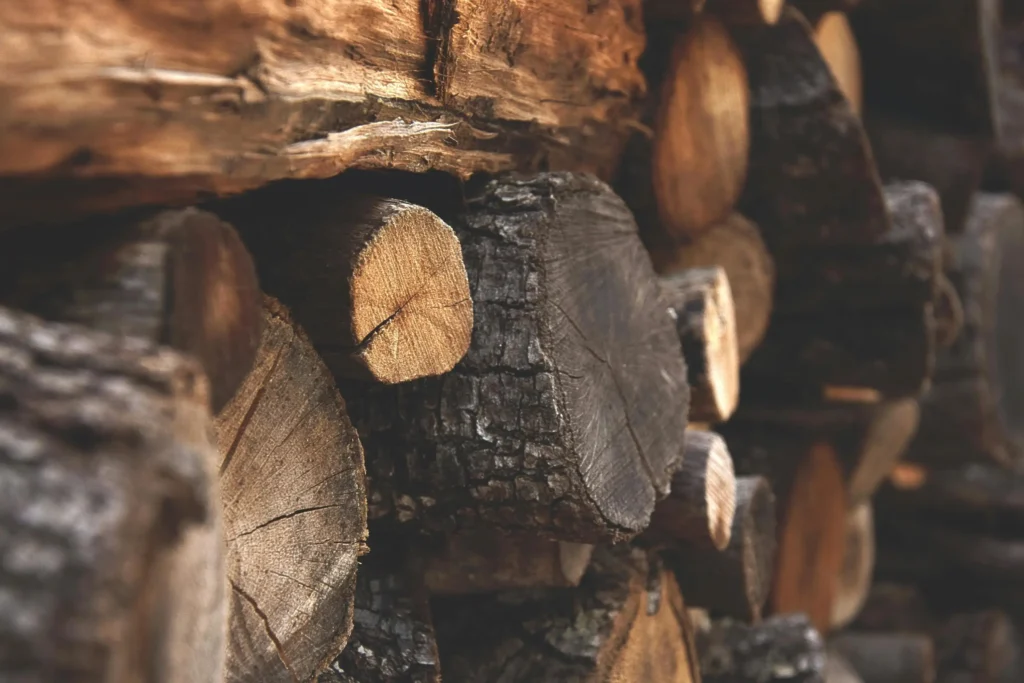 Master the Art of Wood Drawing References: Tips, Techniques, and Stunning References for Every Artist 9 Wood Drawing References