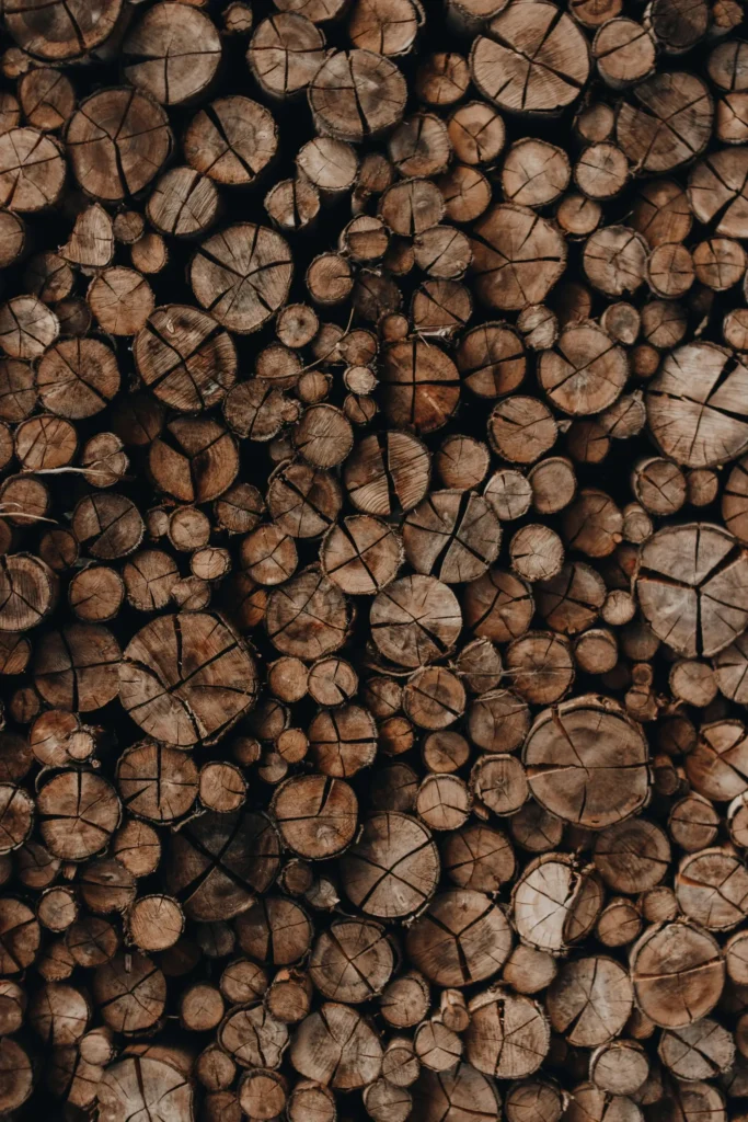 Master the Art of Wood Drawing References: Tips, Techniques, and Stunning References for Every Artist 32 Wood Drawing References