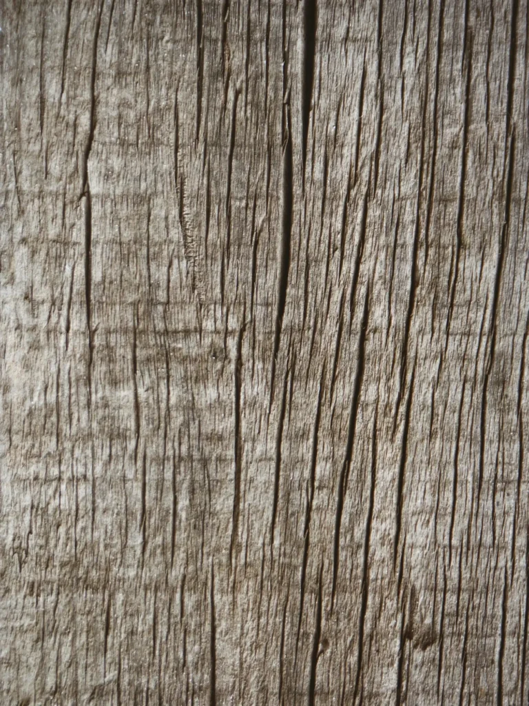 Master the Art of Wood Drawing References: Tips, Techniques, and Stunning References for Every Artist 14 Wood Drawing References