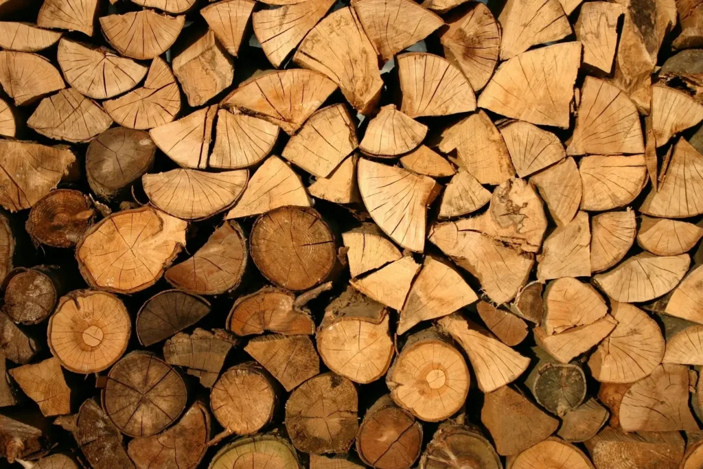 Master the Art of Wood Drawing References: Tips, Techniques, and Stunning References for Every Artist 7 Wood Drawing References