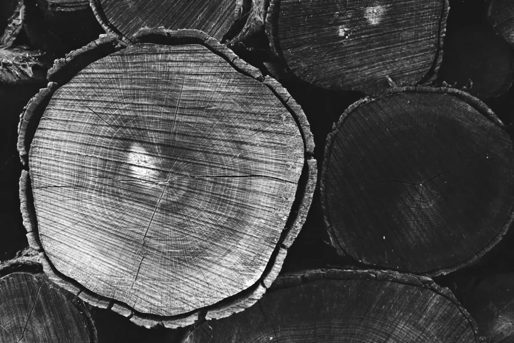 Master the Art of Wood Drawing References: Tips, Techniques, and Stunning References for Every Artist 26 Wood Drawing References
