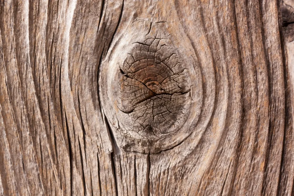 Master the Art of Wood Drawing References: Tips, Techniques, and Stunning References for Every Artist 28 Wood Drawing References
