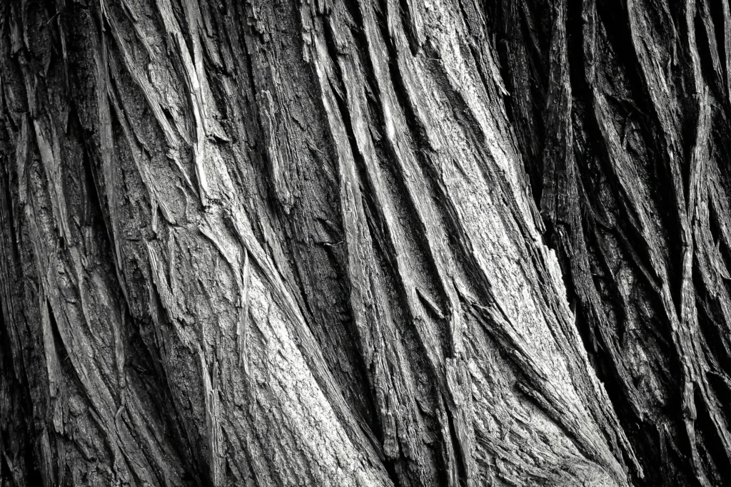 Master the Art of Wood Drawing References: Tips, Techniques, and Stunning References for Every Artist 34 Wood Drawing References