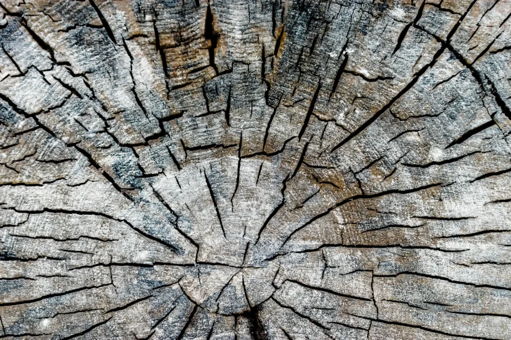 Master the Art of Wood Drawing References: Tips, Techniques, and Stunning References for Every Artist 35 Wood Drawing References
