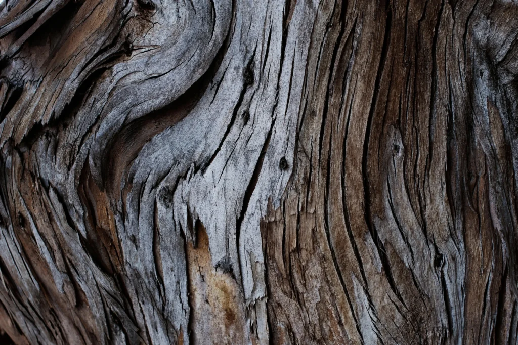 Master the Art of Wood Drawing References: Tips, Techniques, and Stunning References for Every Artist 46 Wood Drawing References
