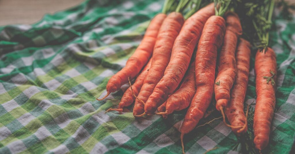 Vegetable Drawing Ideas Carrots